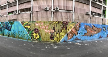 Phân tích hai thứ tự dùng đầu sịt trên bức vẽ Graffiti của nghệ sĩ Ties trong dự án “Bảo vệ đa dạng sinh học”